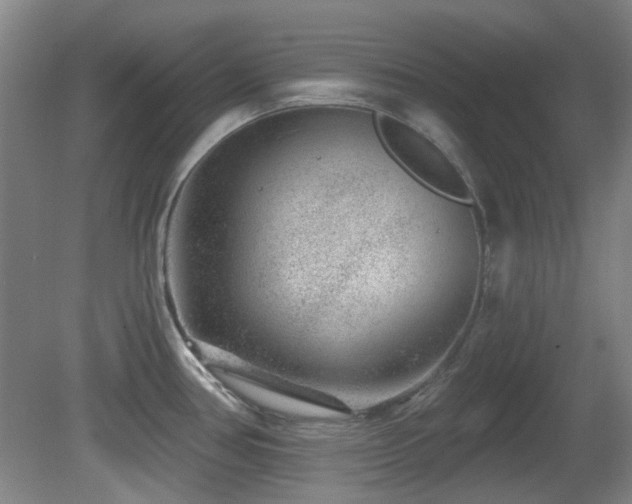 X0000081581386200701151231