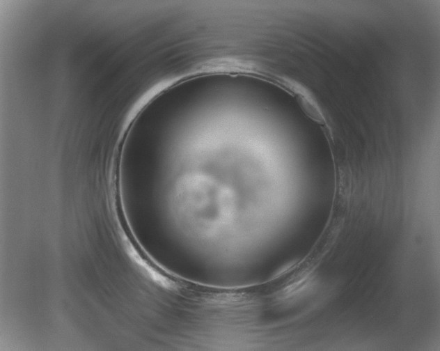 X0000081581387200701151231