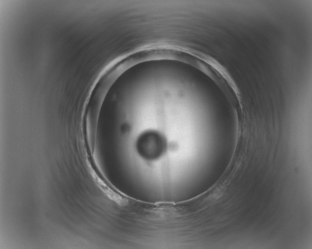 X0000081581388200701151231