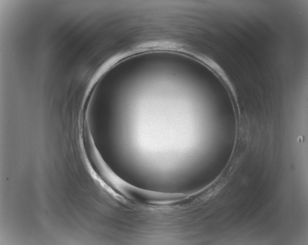 X0000081581389200701151231