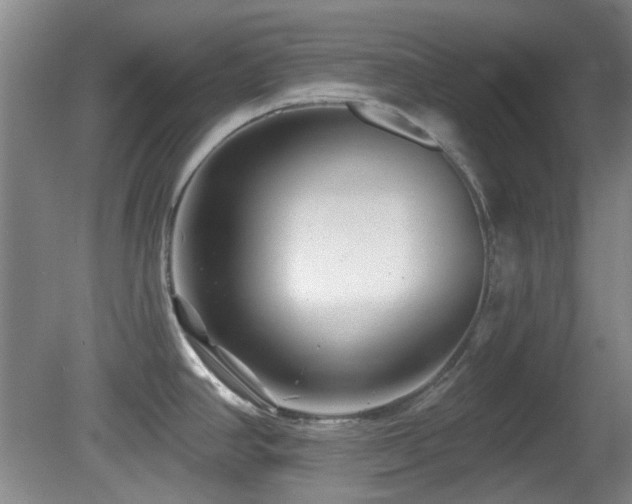 X0000081581390200701151231