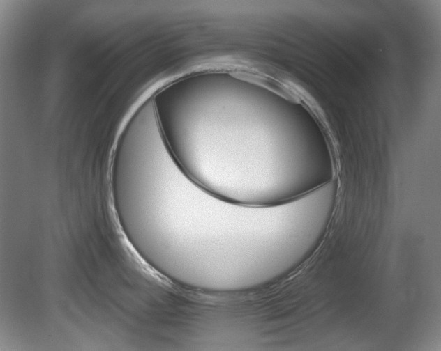 X0000081581392200701151231