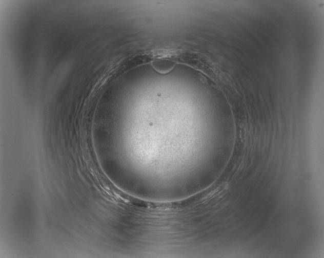 X0000081581393200701151230