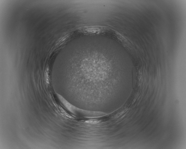 X0000081581394200701151231