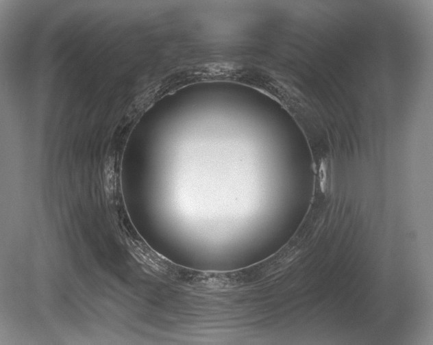 X0000081581395200701151231