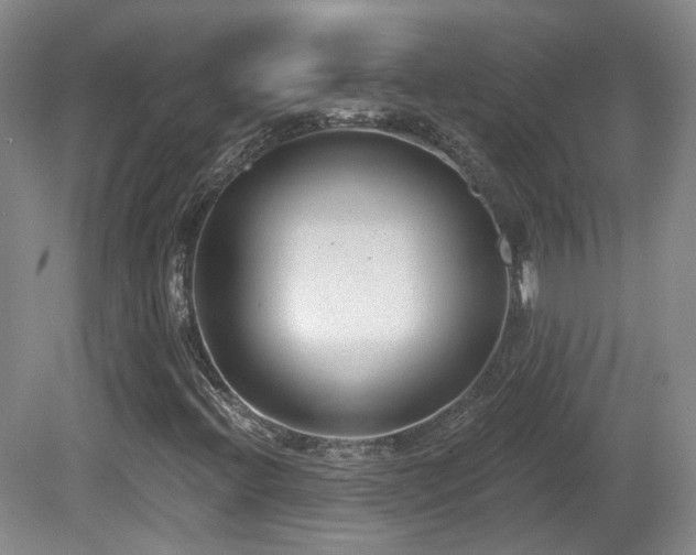 X0000081581396200701151231