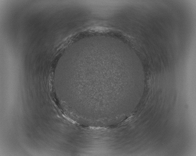 X0000081581397200701151231