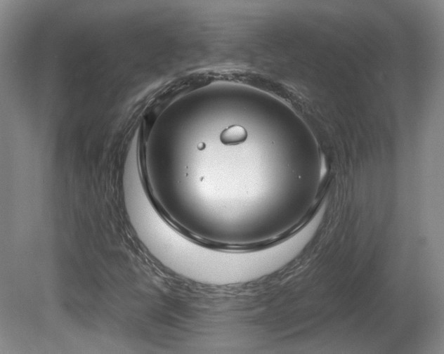 X0000081581398200701151231