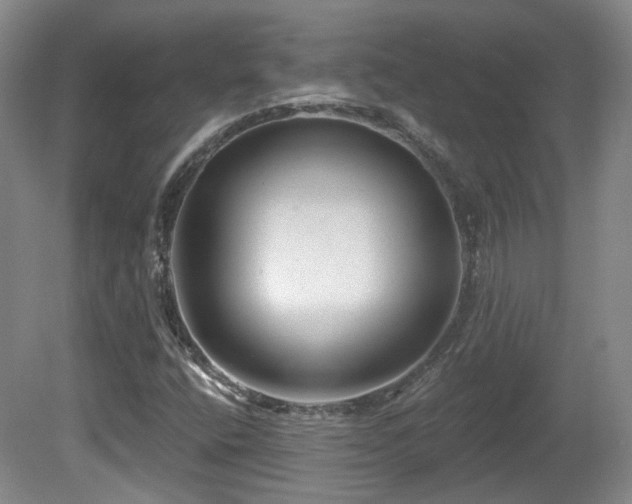 X0000081581400200701151231