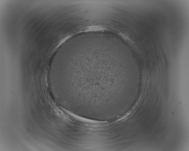 X0000081581401200701151231