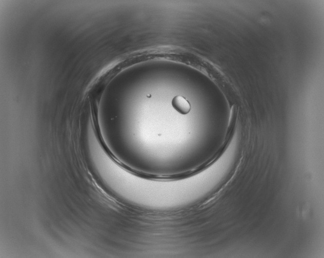 X0000081581402200701151231