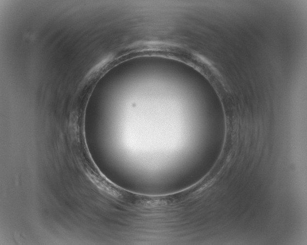 X0000081581403200701151231