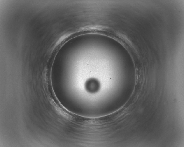 X0000081581404200701151231