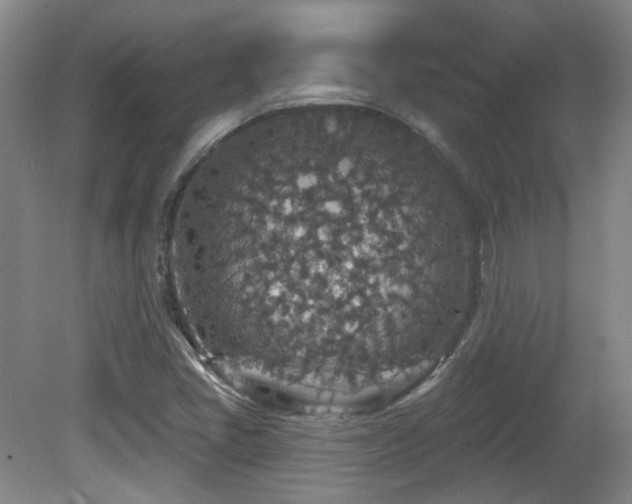 X0000081581405200701151231