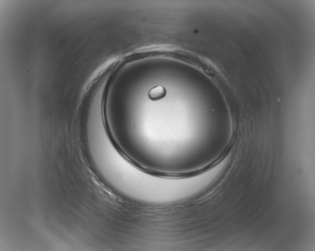 X0000081581406200701151231