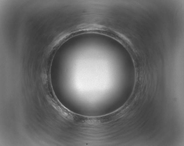 X0000081581407200701151231