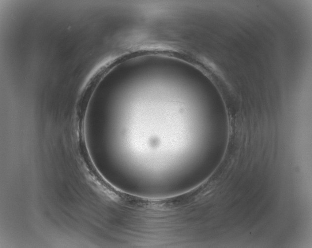 X0000081581408200701151231