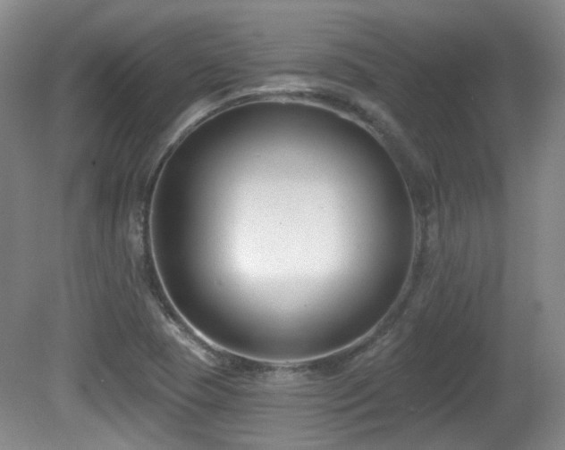 X0000081581409200701151231