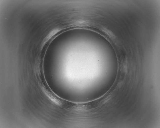 X0000081581410200701151231