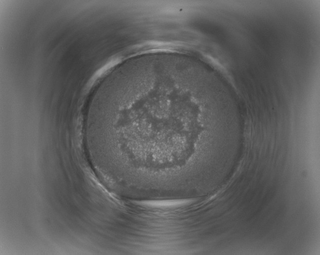 X0000081581411200701151231