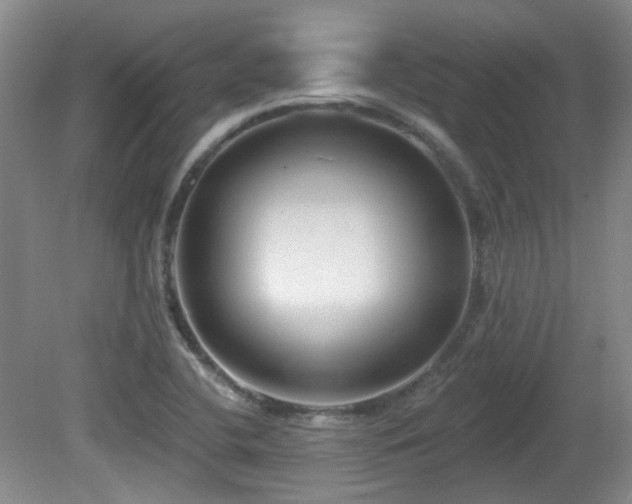 X0000081581412200701151231