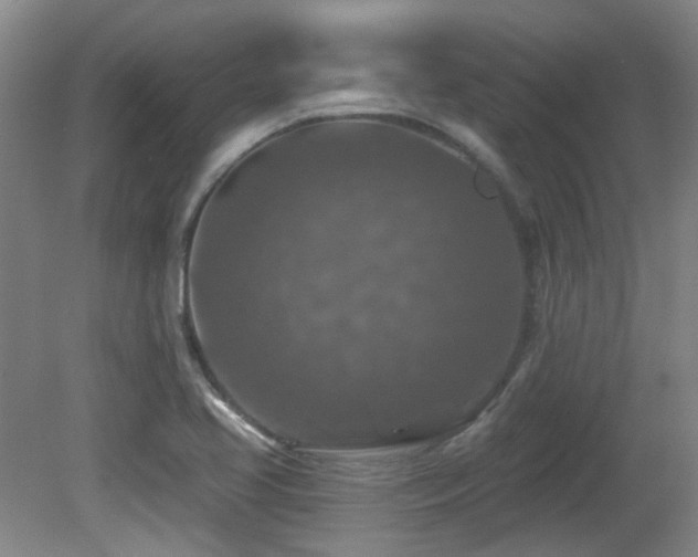 X0000081581413200701151231