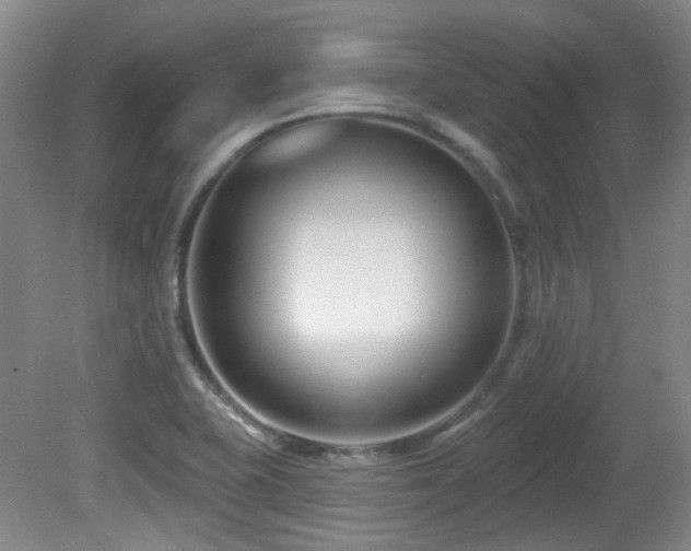 X0000081581415200701151231