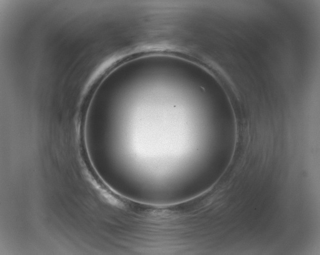 X0000081581416200701151231