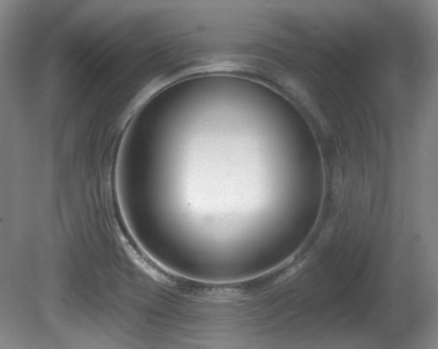 X0000081581417200701151231