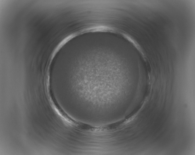 X0000081581418200701151231