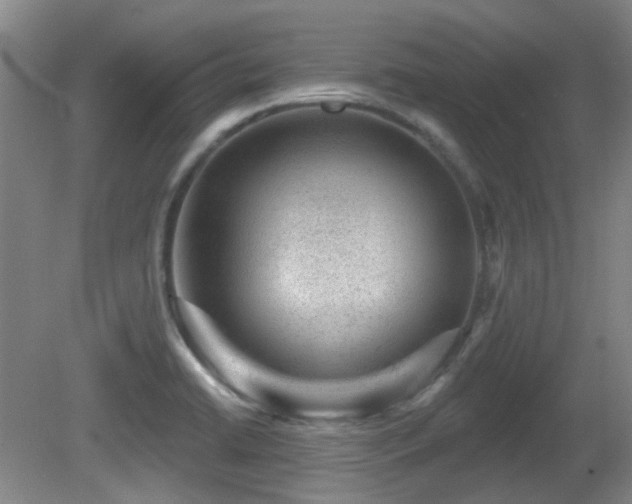 X0000081581422200701151231