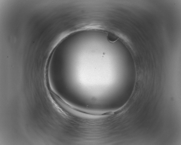 X0000081581423200701151231