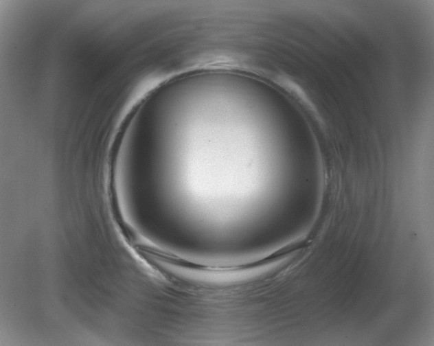 X0000081581424200701151231