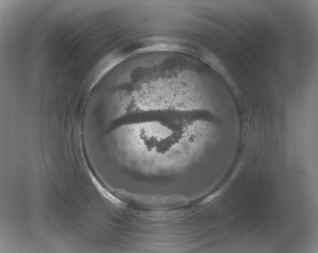 X0000081581425200701151231