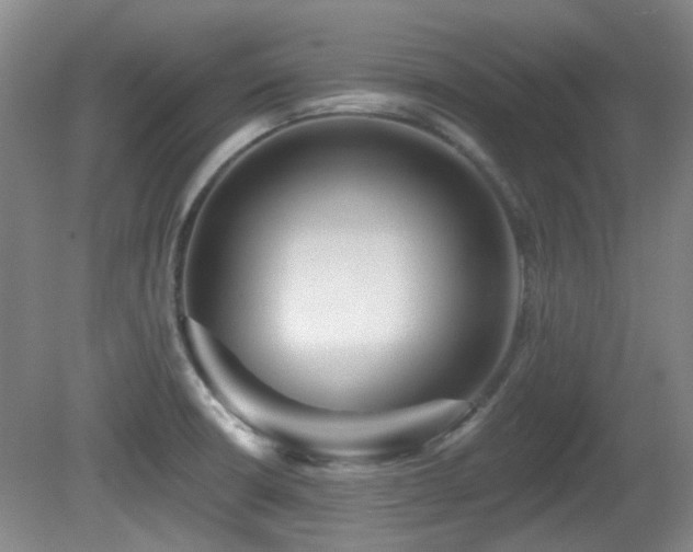 X0000081581426200701151231