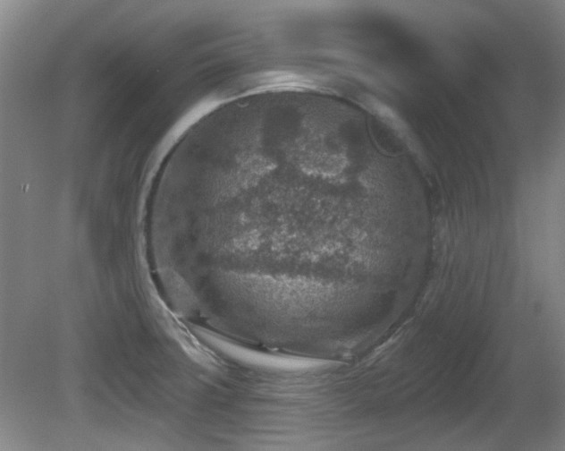 X0000081581427200701151231