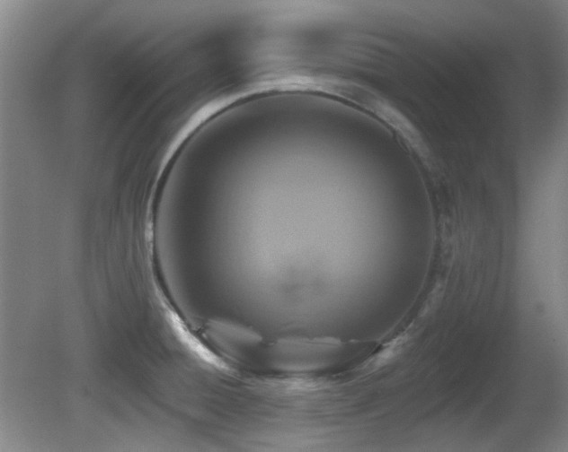 X0000081581428200701151231