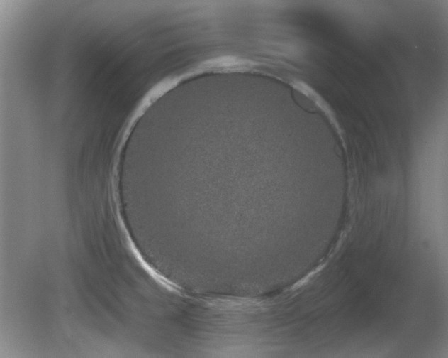 X0000081581429200701151231