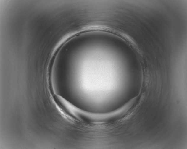 X0000081581430200701151231