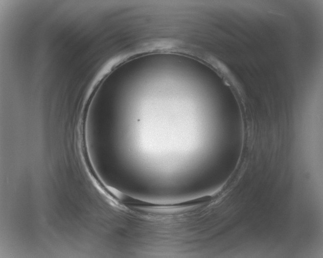 X0000081581432200701151231