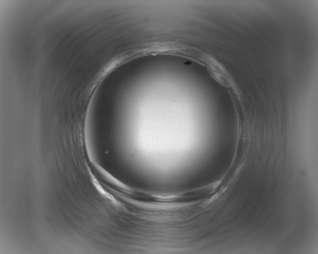 X0000081581433200701151231