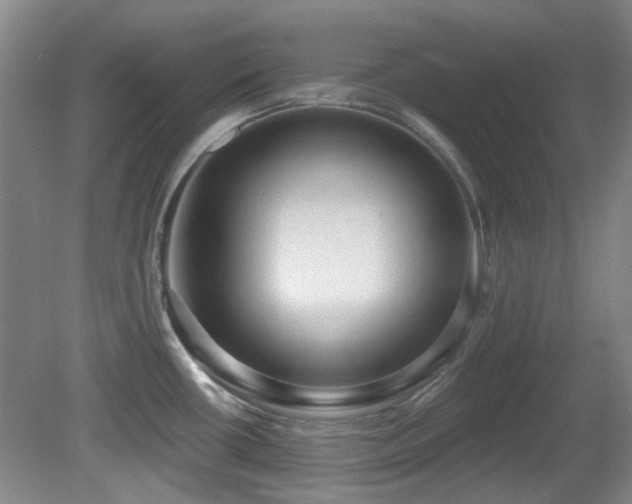 X0000081581434200701151231