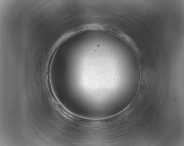 X0000081581435200701151231