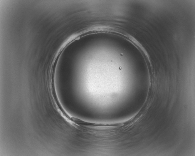 X0000081581437200701151231