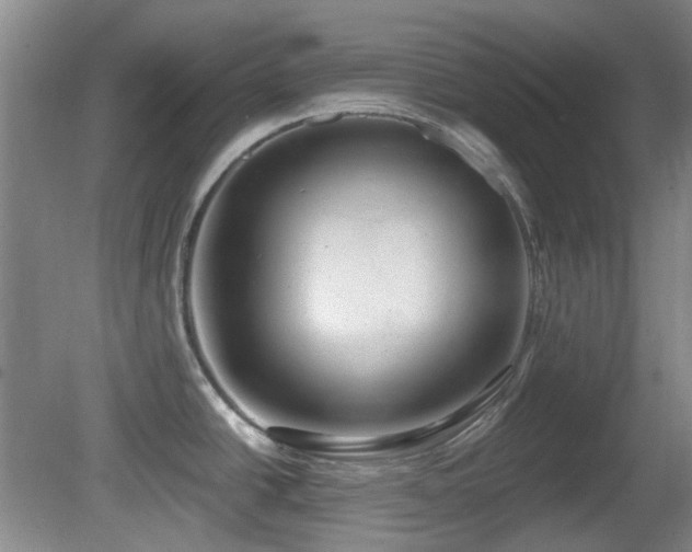 X0000081581438200701151231