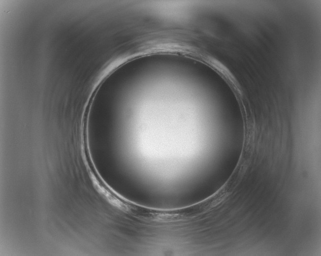 X0000081581439200701151231