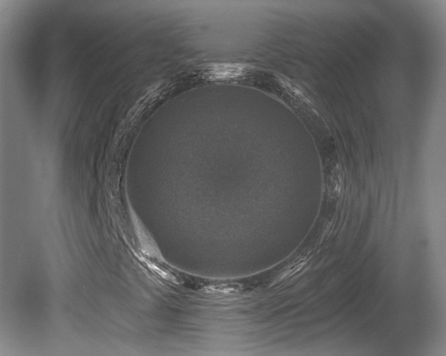 X0000081581441200701151230