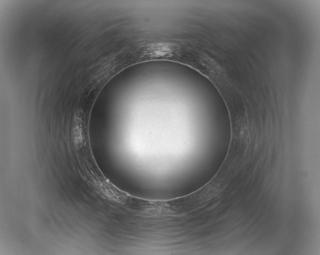 X0000081581442200701151230