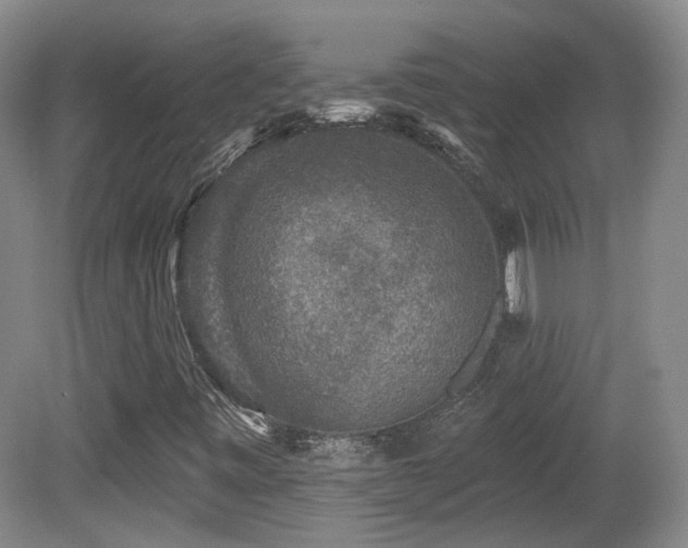 X0000081581443200701151230