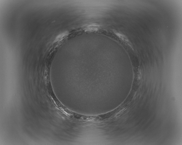 X0000081581445200701151230